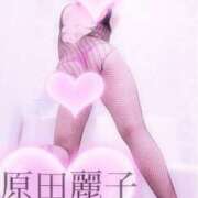 ヒメ日記 2025/02/17 23:40 投稿 原田麗子 五十路マダム静岡店（カサブランカG）