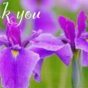 ヒメ日記 2025/06/02 16:18 投稿 原田麗子 五十路マダム静岡店（カサブランカG）