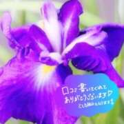 ヒメ日記 2025/06/02 16:26 投稿 原田麗子 五十路マダム静岡店（カサブランカG）