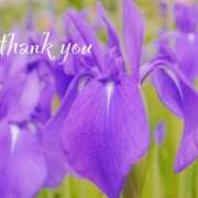 ヒメ日記 2025/06/02 16:44 投稿 原田麗子 五十路マダム静岡店（カサブランカG）