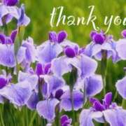 ヒメ日記 2025/06/02 16:48 投稿 原田麗子 五十路マダム静岡店（カサブランカG）