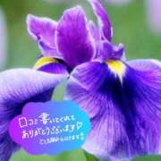 ヒメ日記 2025/06/02 17:08 投稿 原田麗子 五十路マダム静岡店（カサブランカG）