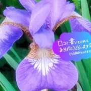 ヒメ日記 2025/06/02 20:36 投稿 原田麗子 五十路マダム静岡店（カサブランカG）