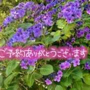 ヒメ日記 2025/06/07 15:54 投稿 原田麗子 五十路マダム静岡店（カサブランカG）