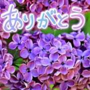 ヒメ日記 2025/06/07 16:38 投稿 原田麗子 五十路マダム静岡店（カサブランカG）