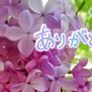 ヒメ日記 2025/06/09 20:14 投稿 原田麗子 五十路マダム静岡店（カサブランカG）