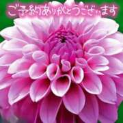 ヒメ日記 2025/07/22 18:18 投稿 原田麗子 五十路マダム静岡店（カサブランカG）