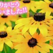 ヒメ日記 2025/07/23 15:24 投稿 原田麗子 五十路マダム静岡店（カサブランカG）