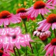 ヒメ日記 2025/07/23 15:32 投稿 原田麗子 五十路マダム静岡店（カサブランカG）