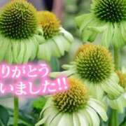 ヒメ日記 2025/07/23 15:44 投稿 原田麗子 五十路マダム静岡店（カサブランカG）