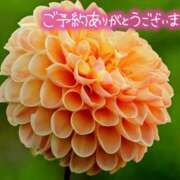 ヒメ日記 2025/07/23 17:24 投稿 原田麗子 五十路マダム静岡店（カサブランカG）