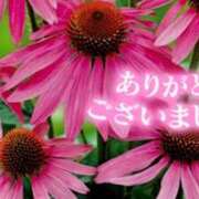 ヒメ日記 2025/07/23 21:28 投稿 原田麗子 五十路マダム静岡店（カサブランカG）