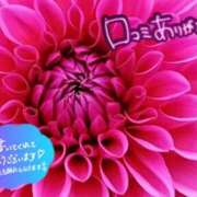 ヒメ日記 2025/07/23 21:44 投稿 原田麗子 五十路マダム静岡店（カサブランカG）