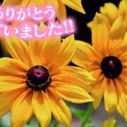 ヒメ日記 2025/07/23 21:50 投稿 原田麗子 五十路マダム静岡店（カサブランカG）