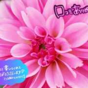 ヒメ日記 2025/07/24 08:02 投稿 原田麗子 五十路マダム静岡店（カサブランカG）