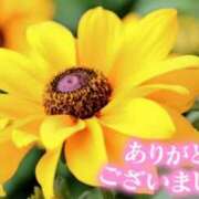 ヒメ日記 2025/07/24 08:10 投稿 原田麗子 五十路マダム静岡店（カサブランカG）