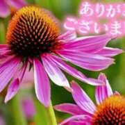 ヒメ日記 2025/07/24 08:28 投稿 原田麗子 五十路マダム静岡店（カサブランカG）