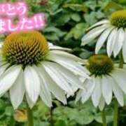 ヒメ日記 2025/07/24 14:40 投稿 原田麗子 五十路マダム静岡店（カサブランカG）