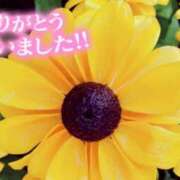 ヒメ日記 2025/07/24 15:10 投稿 原田麗子 五十路マダム静岡店（カサブランカG）