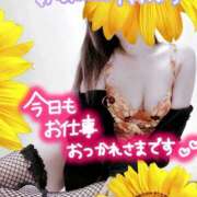 ヒメ日記 2025/08/01 18:18 投稿 原田麗子 五十路マダム静岡店（カサブランカG）