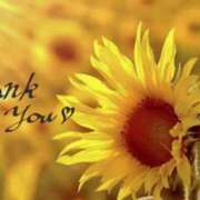 ヒメ日記 2025/08/04 14:18 投稿 原田麗子 五十路マダム静岡店（カサブランカG）