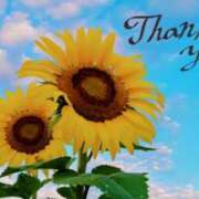 ヒメ日記 2025/08/04 18:24 投稿 原田麗子 五十路マダム静岡店（カサブランカG）