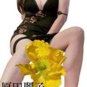 ヒメ日記 2025/09/24 21:54 投稿 原田麗子 五十路マダム静岡店（カサブランカG）