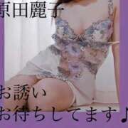 ヒメ日記 2025/11/08 18:24 投稿 原田麗子 五十路マダム静岡店（カサブランカG）