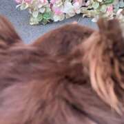 ヒメ日記 2025/09/02 10:20 投稿 桜衣美羽-KINDAN- KINDAN-禁断-