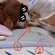 ヒメ日記 2025/09/12 00:37 投稿 桜衣美羽-KINDAN- KINDAN-禁断-