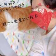 ヒメ日記 2025/09/16 07:17 投稿 桜衣美羽-KINDAN- KINDAN-禁断-