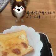 ヒメ日記 2025/11/14 07:45 投稿 桜衣美羽-KINDAN- KINDAN-禁断-