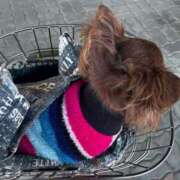 ヒメ日記 2025/11/16 07:00 投稿 桜衣美羽-KINDAN- KINDAN-禁断-