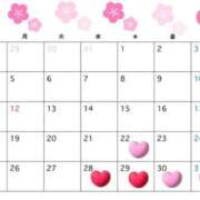 ヒメ日記 2026/01/20 07:45 投稿 桜衣美羽-KINDAN- KINDAN-禁断-