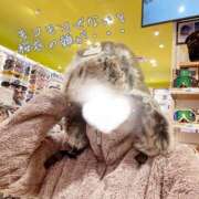 ヒメ日記 2026/02/19 21:45 投稿 桜衣美羽-KINDAN- KINDAN-禁断-