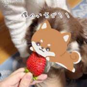 ヒメ日記 2026/02/21 10:05 投稿 桜衣美羽-KINDAN- KINDAN-禁断-