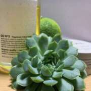 ヒメ日記 2026/03/11 07:54 投稿 神城百花 五十路マダム 徳島店