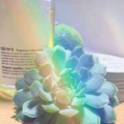 ヒメ日記 2026/03/16 10:50 投稿 神城百花 五十路マダム 徳島店