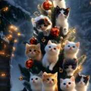 ヒメ日記 2024/12/10 21:36 投稿 えり 大久保おかあちゃんの乳クリ