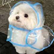 ヒメ日記 2025/03/08 11:35 投稿 ひすい One More奥様　町田相模原店