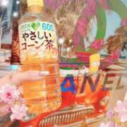 ヒメ日記 2025/09/14 12:42 投稿 ひすい One More奥様　町田相模原店