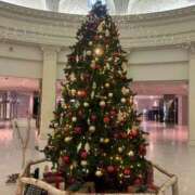 ヒメ日記 2025/12/22 15:17 投稿 めい 巨乳専科パンチラボイン横浜