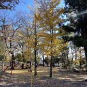 ヒメ日記 2024/12/12 10:07 投稿 永沢(ﾅｶﾞｻﾜ) 小山人妻城