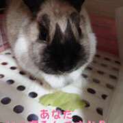 ヒメ日記 2025/01/14 00:52 投稿 みやこ 東京妻