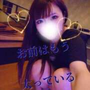 ヒメ日記 2025/01/29 15:08 投稿 みやこ 東京妻