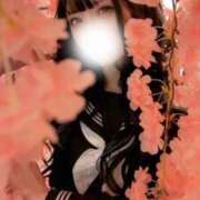 ヒメ日記 2025/03/15 16:11 投稿 みやこ 東京妻