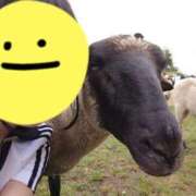 ヒメ日記 2025/06/14 17:53 投稿 みやこ 東京妻