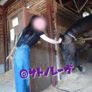 ヒメ日記 2025/09/28 14:58 投稿 みやこ 東京妻