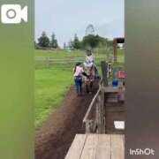 ヒメ日記 2025/11/20 15:20 投稿 みやこ 東京妻