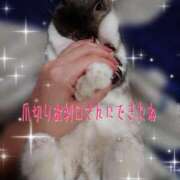 ヒメ日記 2025/12/05 10:15 投稿 みやこ 東京妻